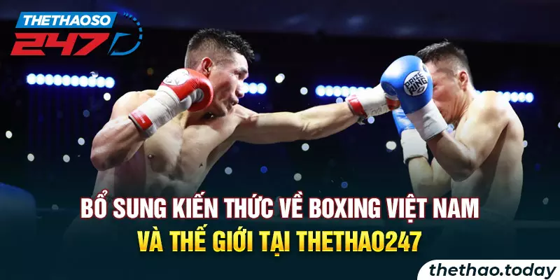 Bổ sung kiến thức về Boxing Việt Nam và thế giới tại thethao247