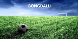 Bongdalu thể thao